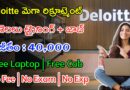 Deloitte మెగా రిక్రూట్మెంట్  | Latest Deloitte Recruitment 2024 | Latest Jobs In Telugu