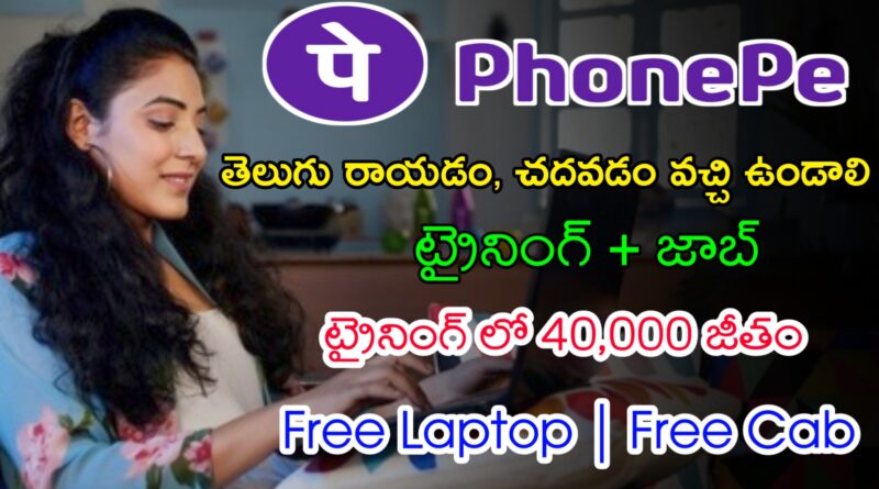 తెలుగు వారికి Phone Pe లో భారీగా ఉద్యోగాలు | Latest Phone Pe Recruitment 2024 | Latest Jobs In Telugu