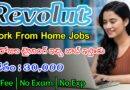 15 రోజులు ట్రైనింగ్ ఇచ్చి జాబ్ ఇస్తున్నారు | Latest Revolut Recruitment 2024 | Work From Home Jobs