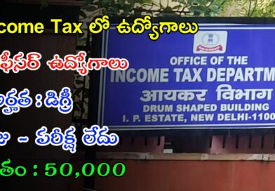 Latest Income Tax Notification 2024 | ఫీజు పరీక్ష లేకుండా ఇన్కమ్ టాక్స్ లో భారీగా ఉద్యోగాలు | Latest Govt Jobs In Telugu