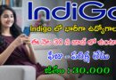 Latest Indigo Recruitment 2024 | ఫీజు పరీక్ష లేకుండా Indigo లో భారీగా ఉద్యోగాలు | Latest Jobs In Telugu