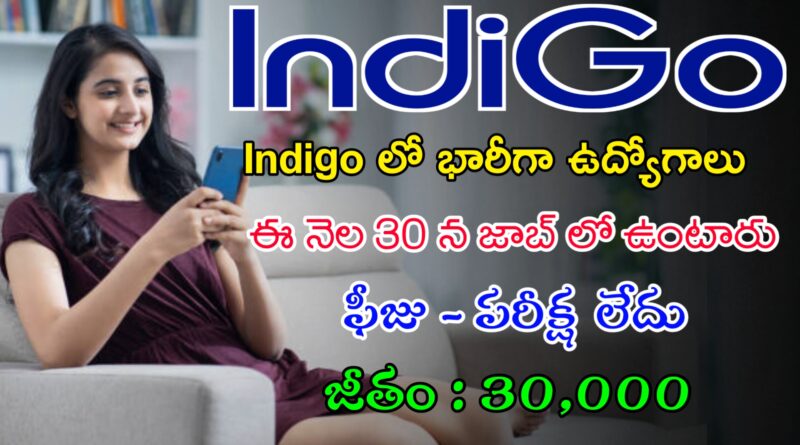 Latest Indigo Recruitment 2024 | ఫీజు పరీక్ష లేకుండా Indigo లో భారీగా ఉద్యోగాలు | Latest Jobs In Telugu