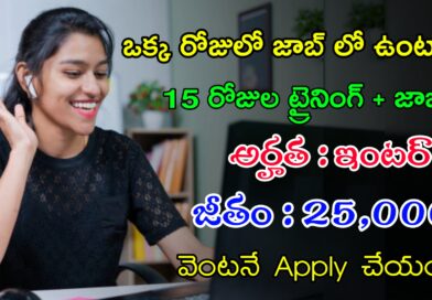 Latest CGS Recruitment 2024 | ఇంటర్ తో భారీగా ఉద్యోగాలు | Latest Jobs In Telugu
